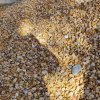 Yellow Pebble Stone